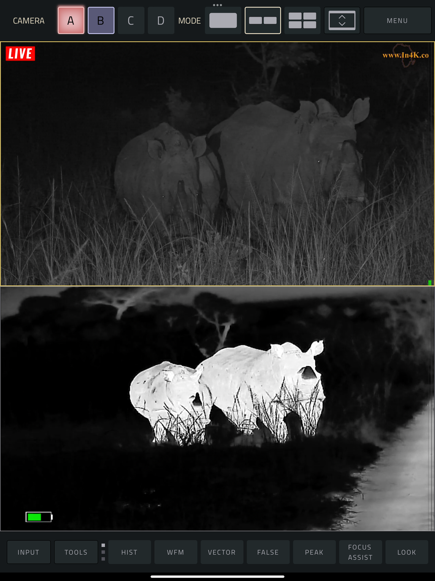 Rhino at night with Thermal Monocular TK631